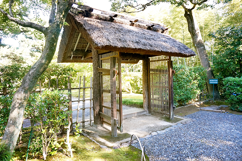 京都漫步:历史不愿重来 但京都千年从未改变